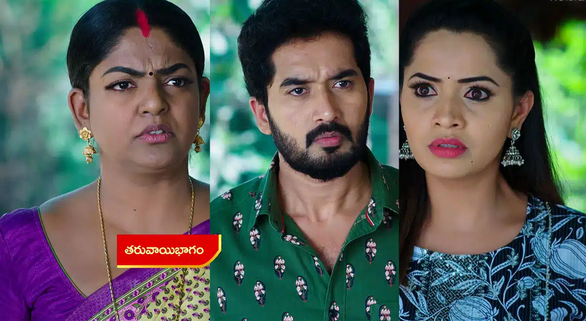 karthika deepam 8 november 2022 full episode