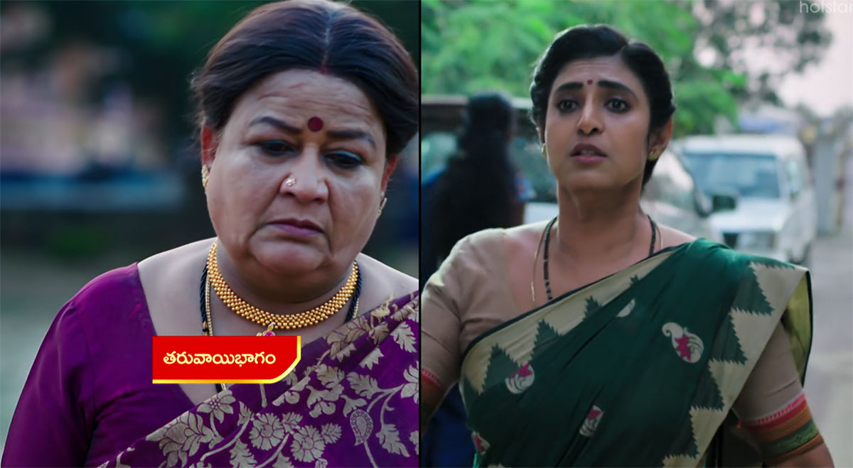 Intinti Gruhalakshmi 23 Nov Today Episode : పరందామయ్య అనసూయపై సీరియస్.. దీంతో ఆత్మహత్య చేసుకోబోయిన అనసూయ.. ఇంతలో ట్విస్ట్