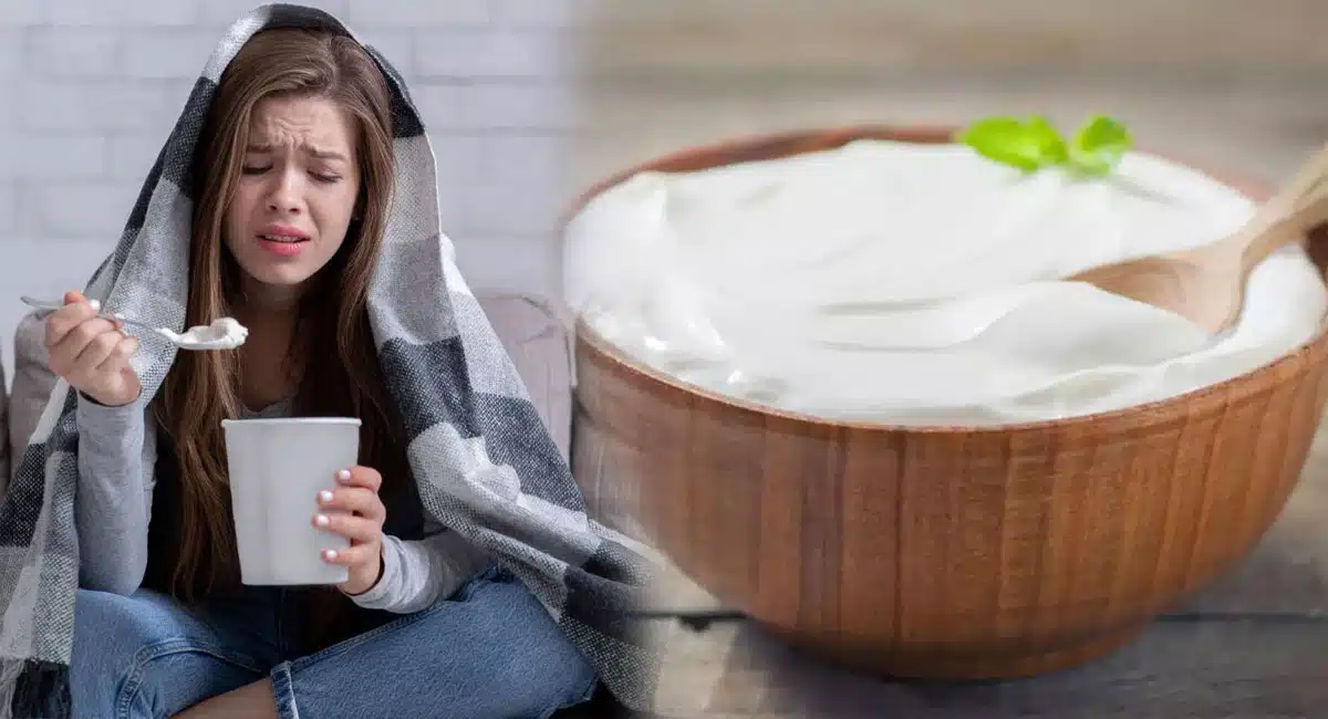 Do you know the Benefits of taking yogurt in winter