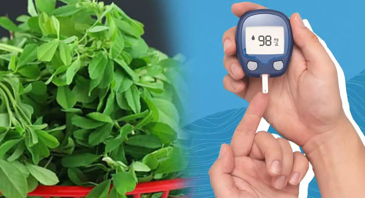 Diabetes can be reduced in seven days with these leaves at no cost