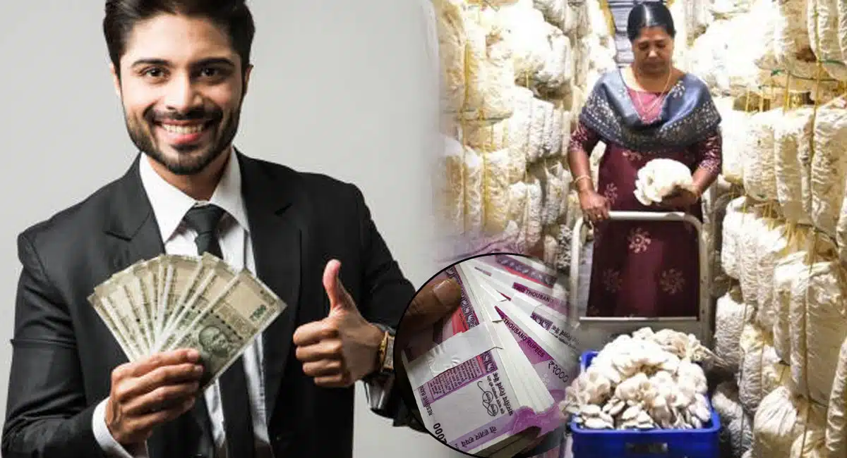 Business Idea grow these crops earn lakhs of rupees per monthly