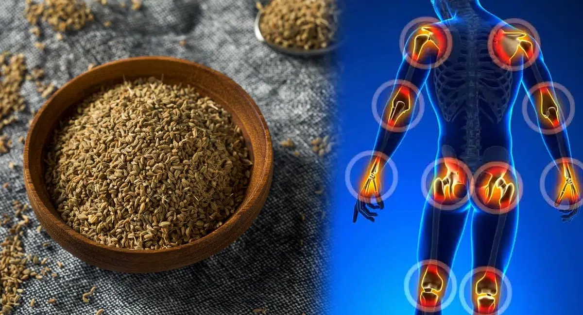 health benefits and Joint pains and joint pains in back pain uses of carom seeds
