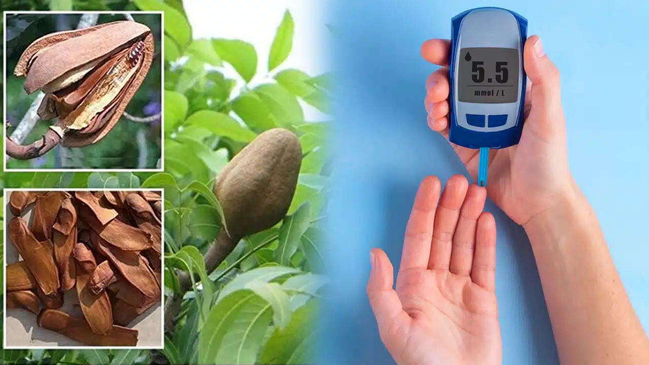 diabetes control Tips on Sky Fruit