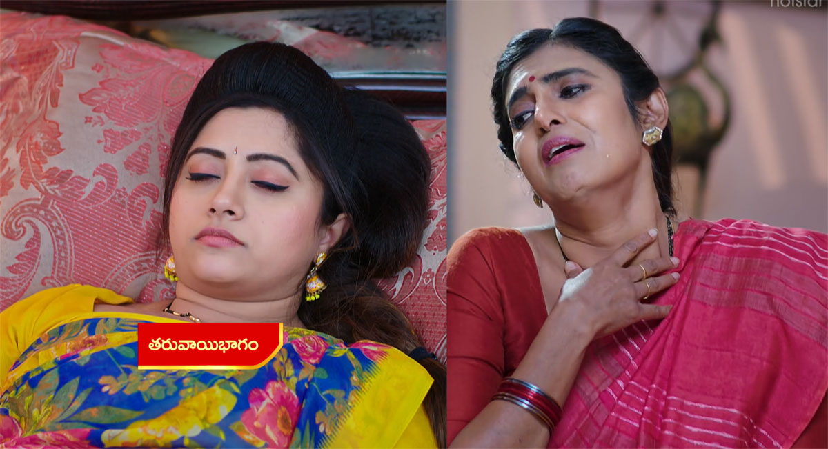 Intinti Gruhalakshmi 24 Dec Today Episode : శృతికి ఏమైంది.. ఎందుకు స్పృహ తప్పి పడిపోయింది.. ఈ విషయం తెలిసి తులసి ఏం చేస్తుంది?