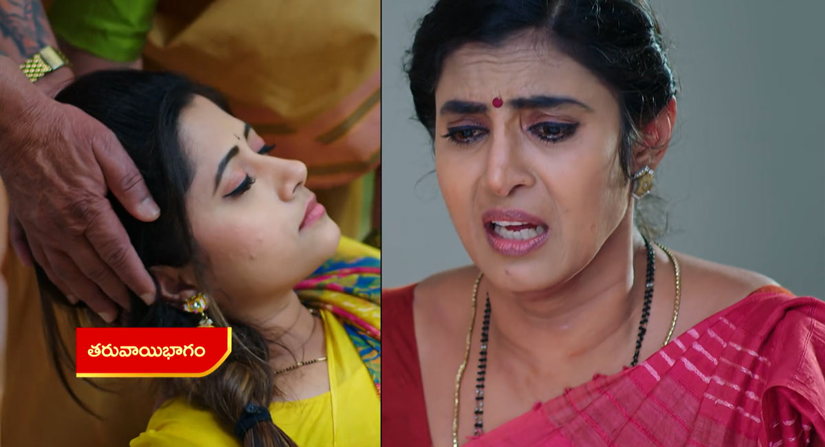 Intinti Gruhalakshmi 22 Dec Today Episode : లాస్యతో మళ్లీ గొడవ.. స్పృహ తప్పి పడిపోయిన శృతి.. రెస్టారెంట్ లో పరువు పోగొట్టుకున్న నందు.. ఇంతలో తులసికి మరో షాక్