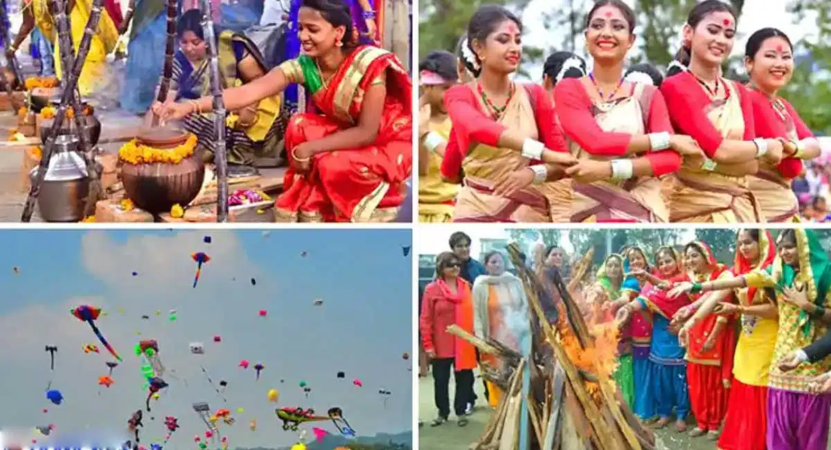 Sankranti Festival prosperity