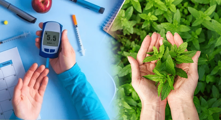 Diabetes : షుగర్ వ్యాధిగ్రస్తులు పరిగడుపున నిత్యం ఈ ఆకుల్ని తీసుకుంటే ఎంతటి షుగర్ అయినా కంట్రోల్ అవుతుంది…!!