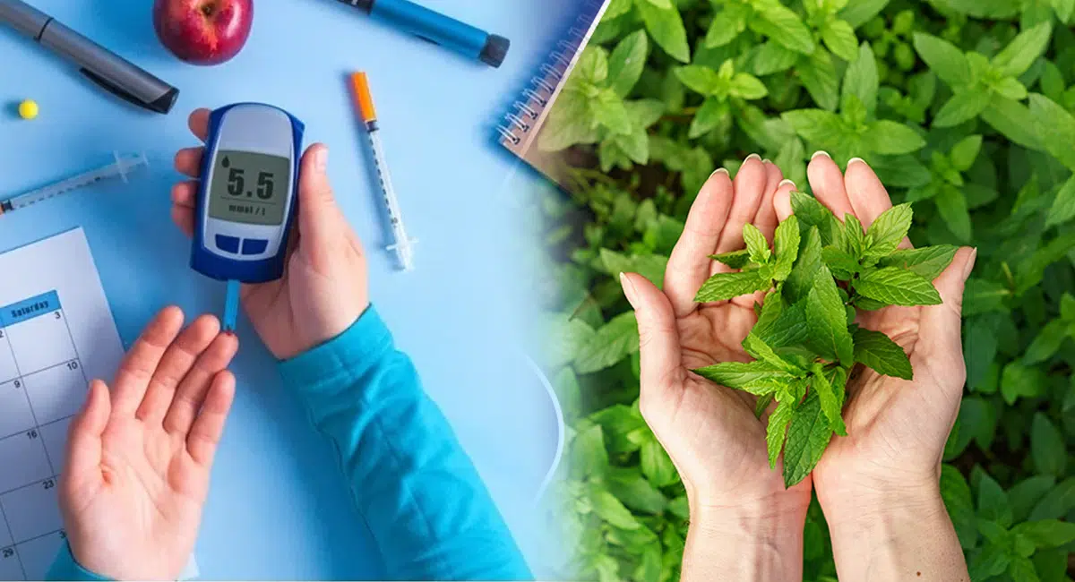 Diabetes Control Tips on take few leaves