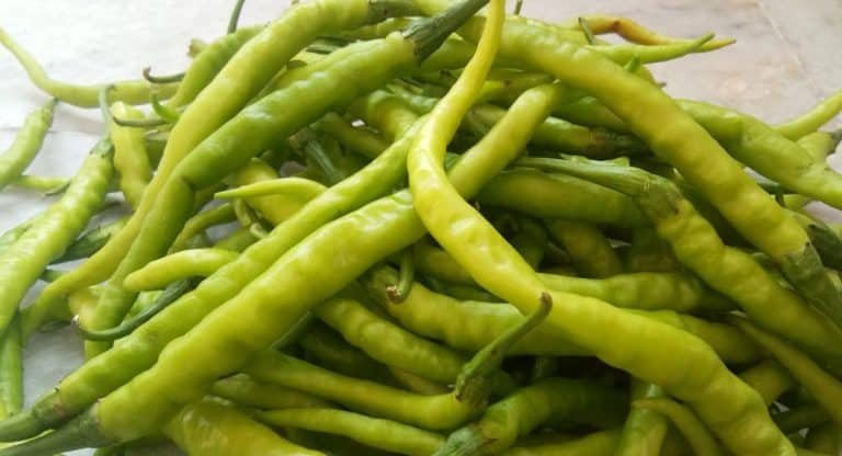 Health Benefits : ప్రతిరోజు పచ్చిమిర్చిని తింటే ఏమవుతుందో తెలుసా ..?