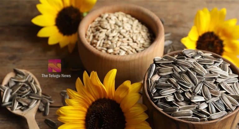 Health Benefits : పొద్దు తిరుగుడు గింజలతో ఇన్ని ఉపయోగలా.. తెలిస్తే షాక్ అవ్వాల్సిందే…!!
