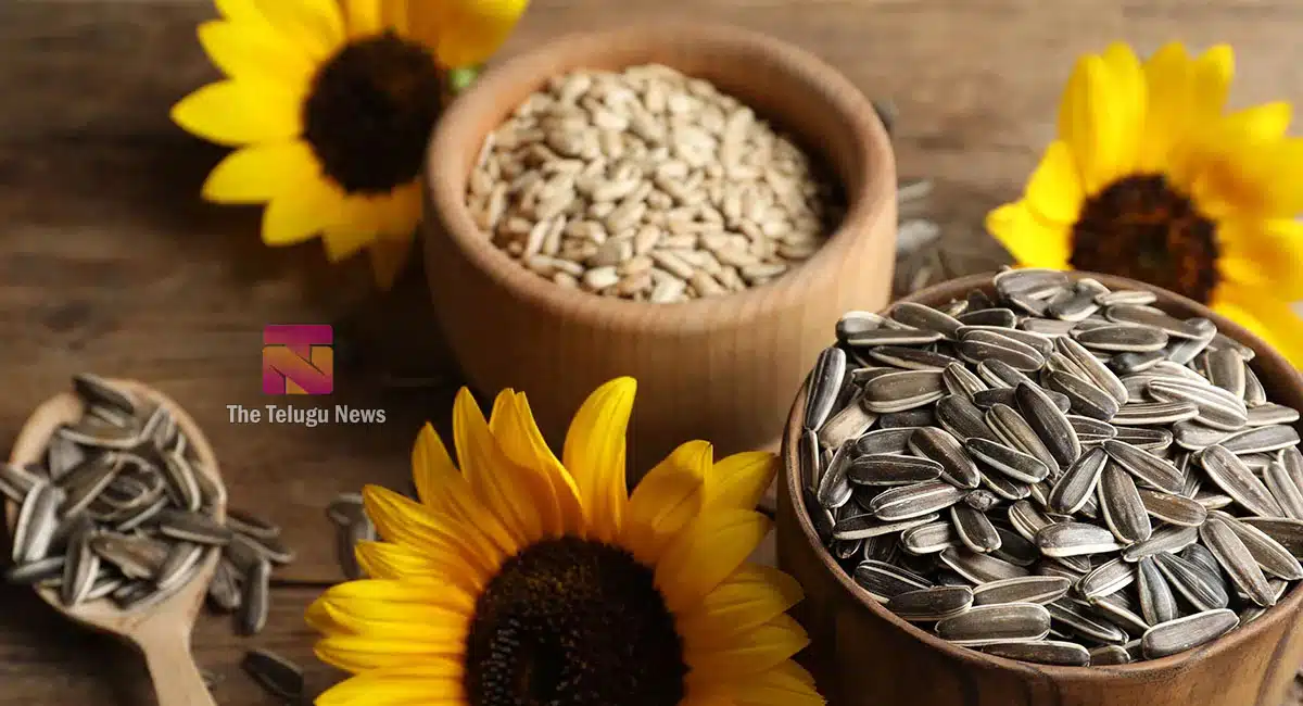 Health Benefits of Sunflower Seeds