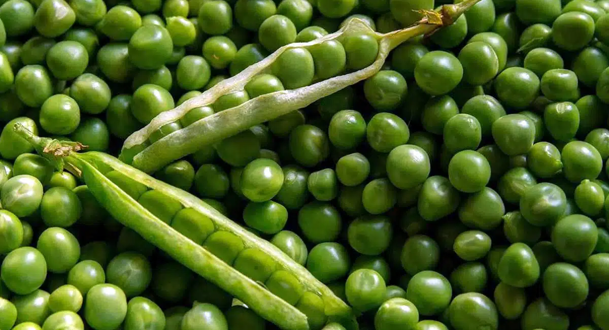 People with these problems are at risk if they consume too much green peas