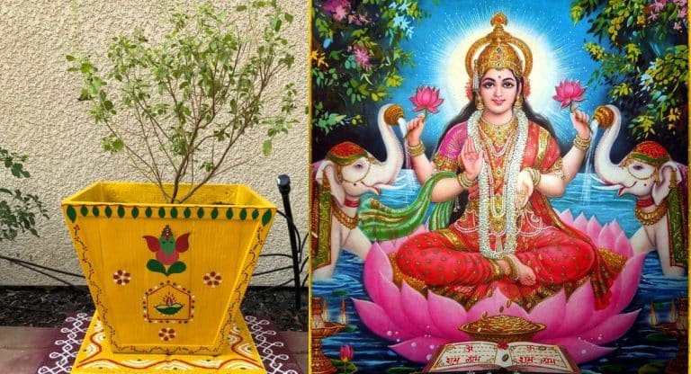 Tulasi Plant : ఈ గుర్తులును తులసి మొక్కపై రాస్తే మీరు లక్ష్మి కటాక్షకం పొందుతారు..!!