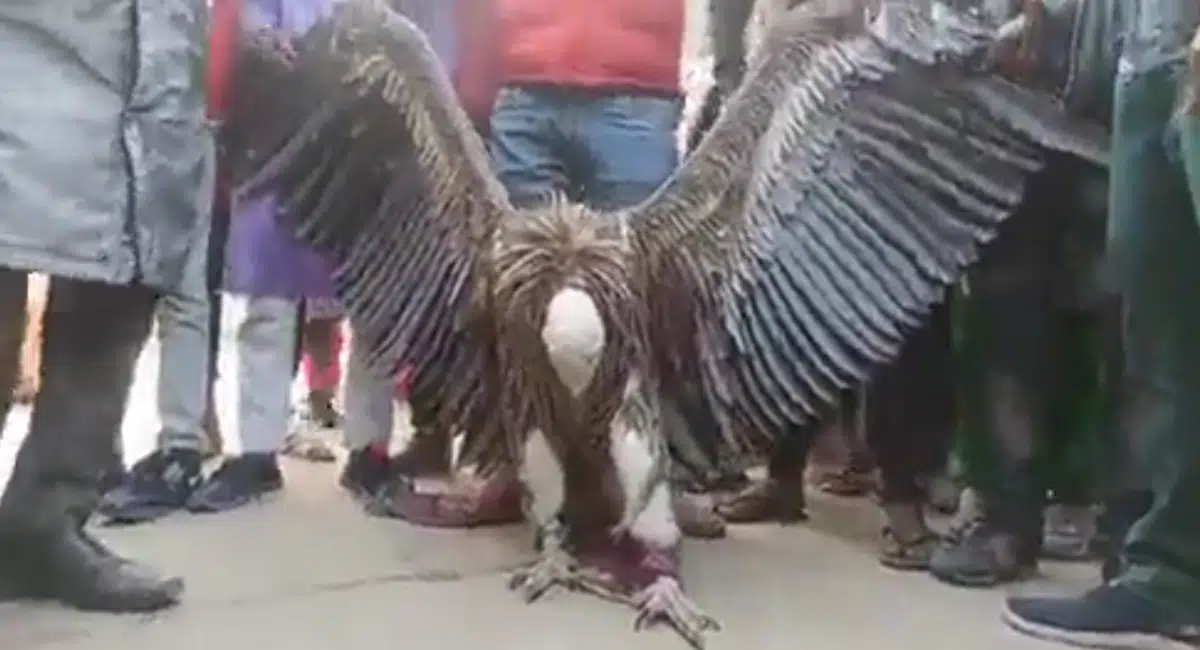 Jatayu Bhagwan ke vanshaj Uttar Pradesh me Ram Mandir darshan hetu padhare