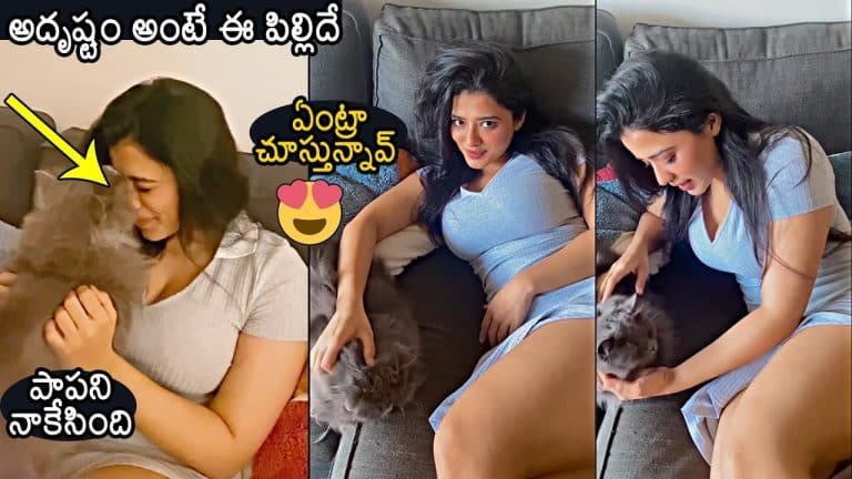 Ketika Sharma : కేతిక శర్మ అందాలను నాకేసిన దొంగ పిల్లి వీడియో వైరల్..!!