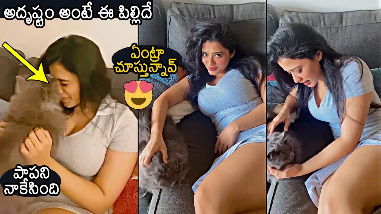 Ketika Sharma Playing With Cat latest video viral