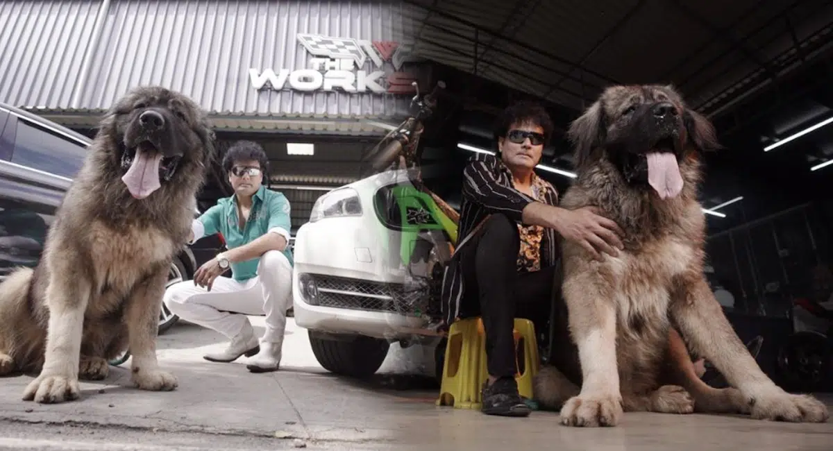 bangalore man bought expensive dog