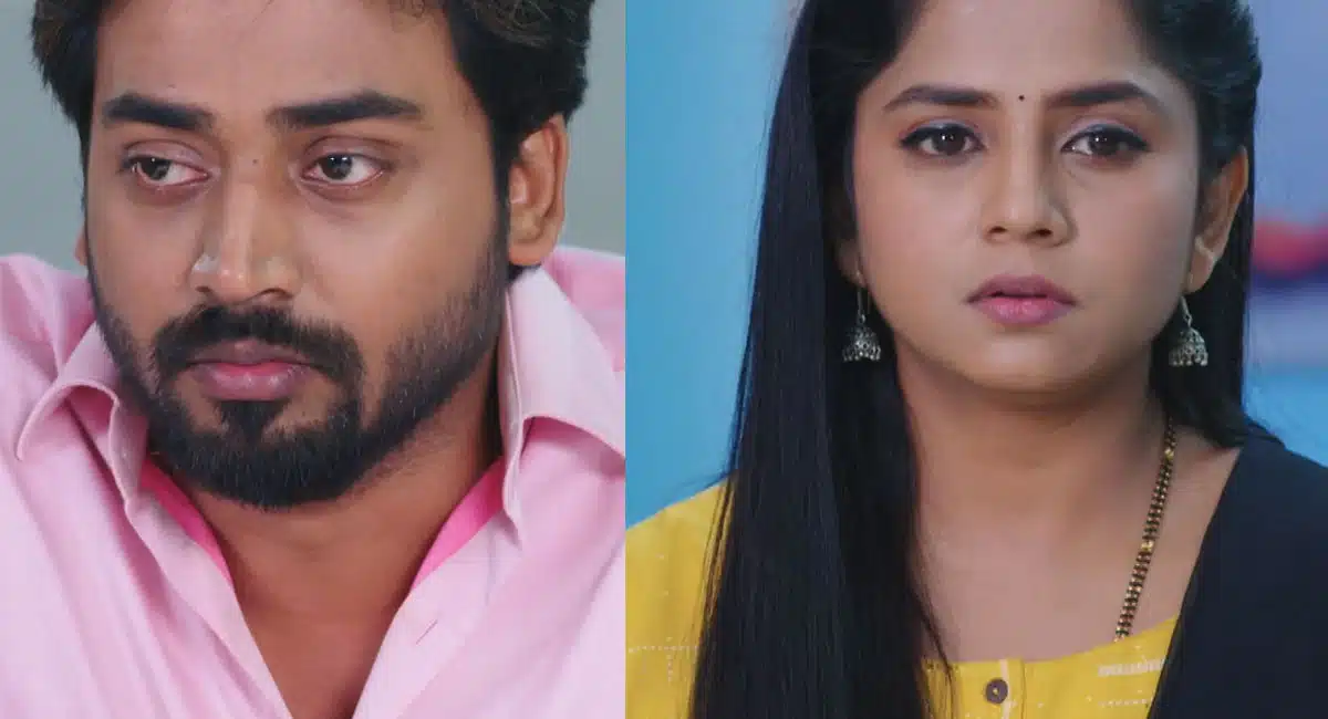 will vasudhara meet rishi in guppedantha manasu