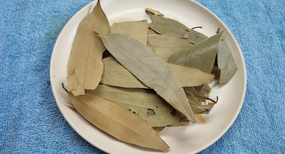 Here are some interesting facts about these biryani leaves that you may not know