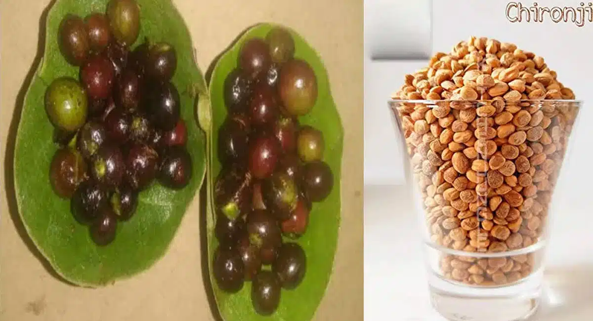 Health Tips These fruits are eaten and the seeds are dropped