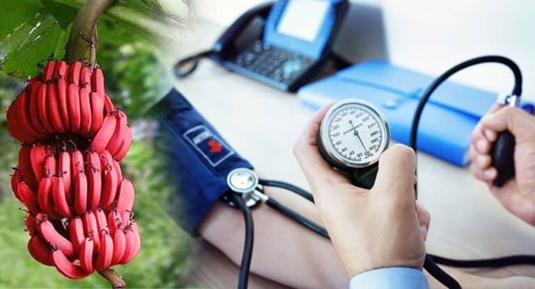 High BP Control : హై బీపీ కంట్రోల్ లో ఉండాలంటే ఈ పండు రోజుకొకటి తింటే చాలు…!!