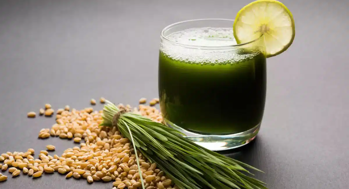 Health Benefits of Wheat grass juice
