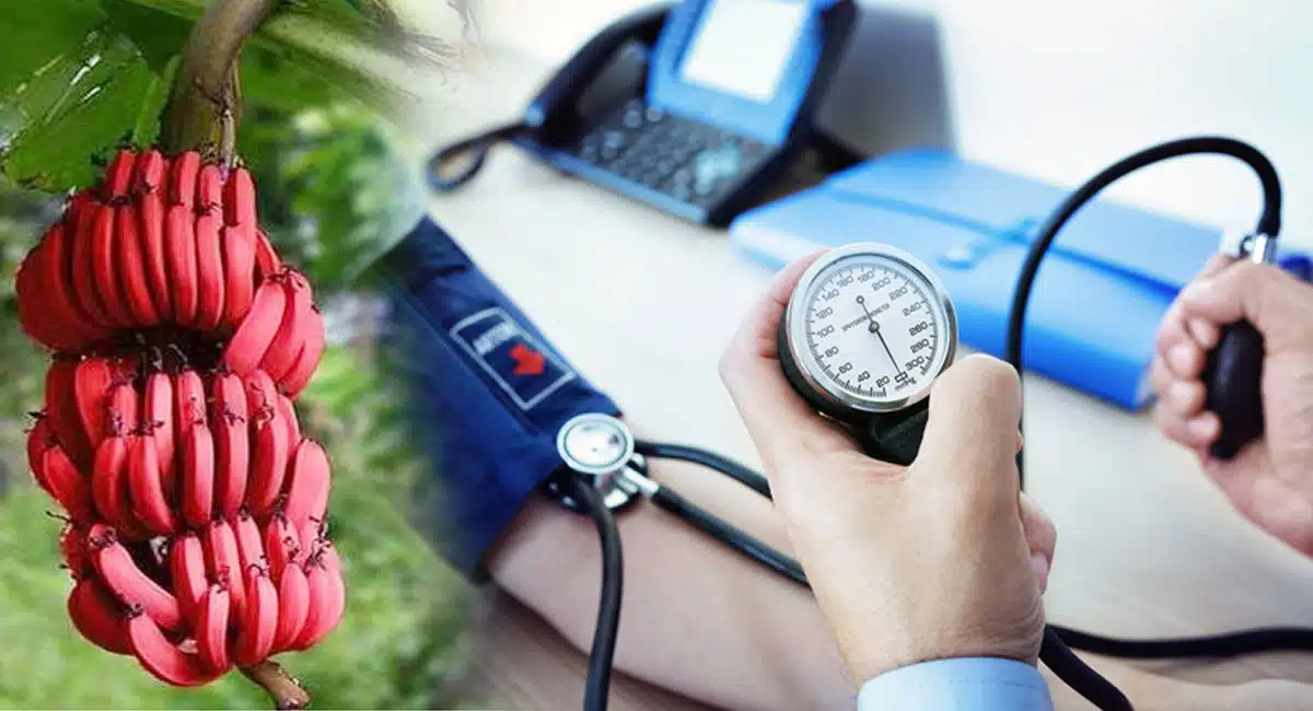 To keep high BP under control it is enough to eat this fruit every day