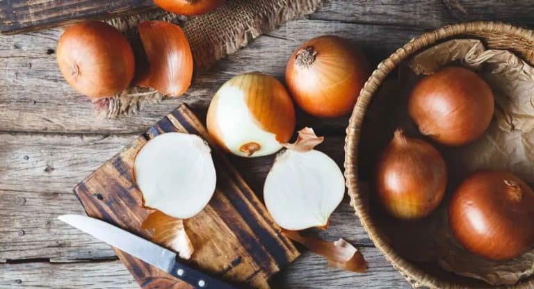 Health Benefits : నిత్యం ఒక ఉల్లిపాయ తీసుకుంటే ఎన్ని ప్రయోజనాలో తెలుసా..? దీర్ఘకాలిక వ్యాధులుకు కూడా చెక్..!!