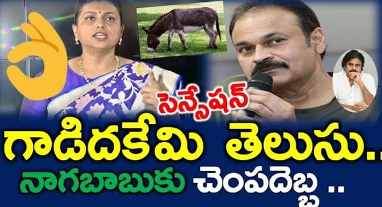 Nagababu : నాగబాబు ఎప్పటికీ నోరు మూసుకునేలా మంత్రి రోజా స్ట్రాంగ్ కౌంటర్ !