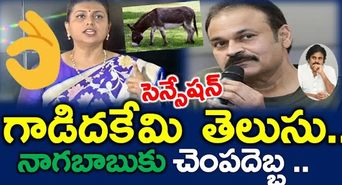 Roja strong counter on Nagababu