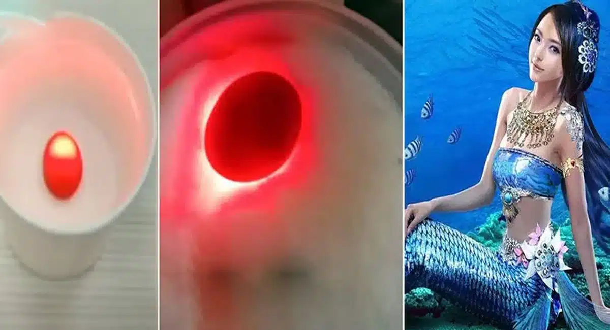 hyderabad police arrest two people who cheat with mermaid eye