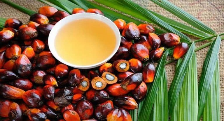 Palm Oil : వామ్మో ఫామ్ ఆయిల్ తో ఇంత ప్రమాదకరమా… అవేంటో తెలిస్తే ఆశ్చర్యపోతారు…!!