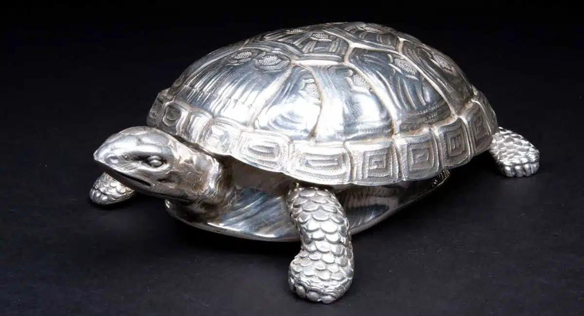 Do you know the benefits of keeping a silver turtle at home