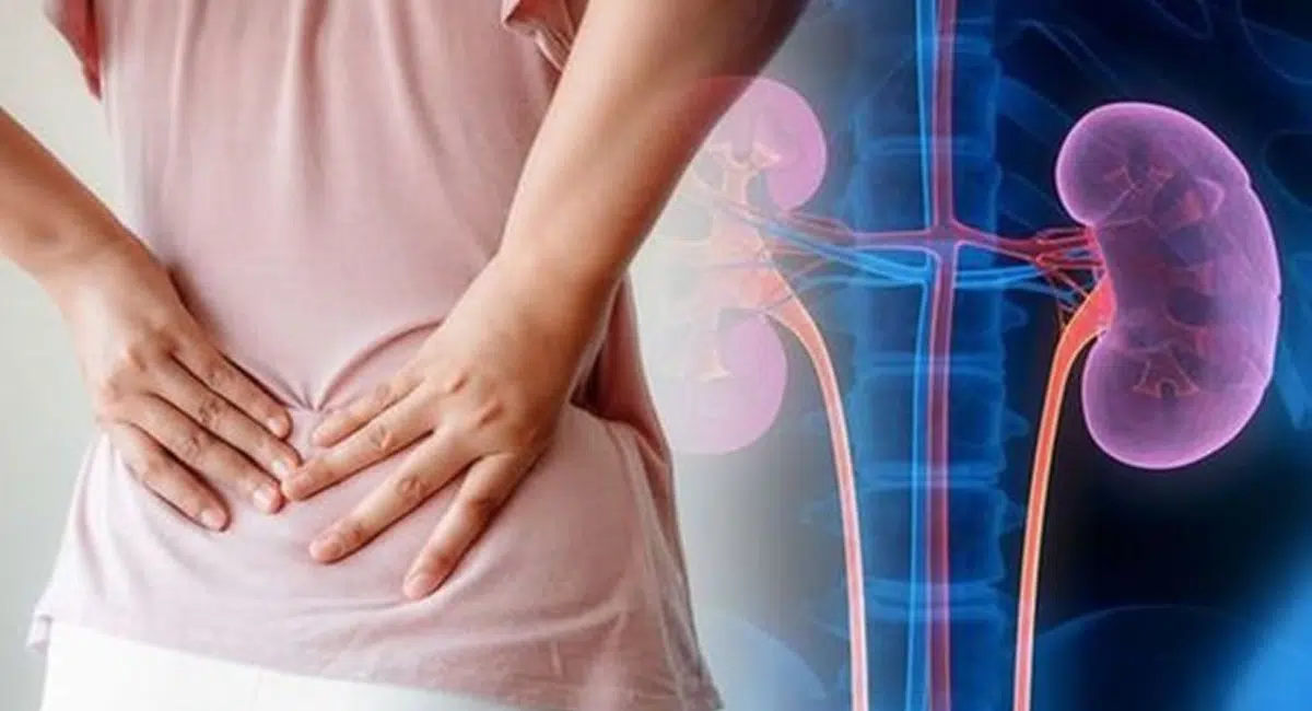 Kidney problems can be checked with these 5 food habits