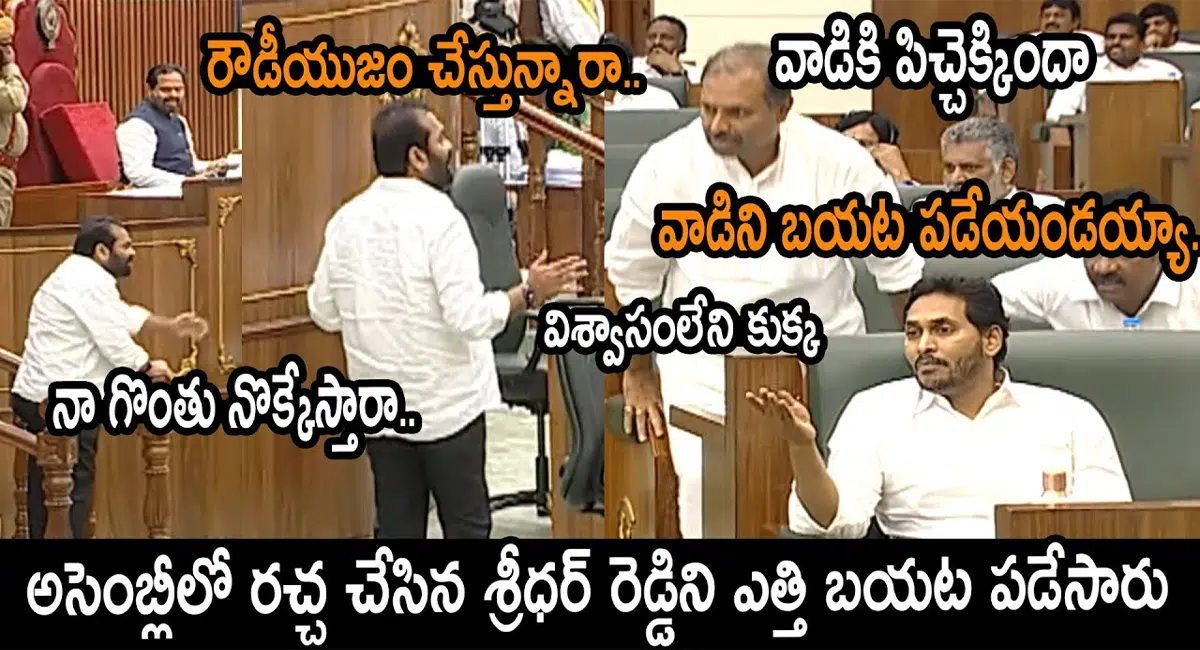 Kotamreddy Sridhar Reddy Overaction In Front Of Ys Jagan