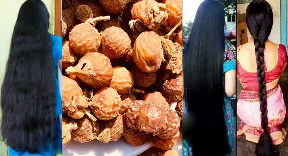 If you want new hair to grow in place of boiled hair, just do this with this saffron nut