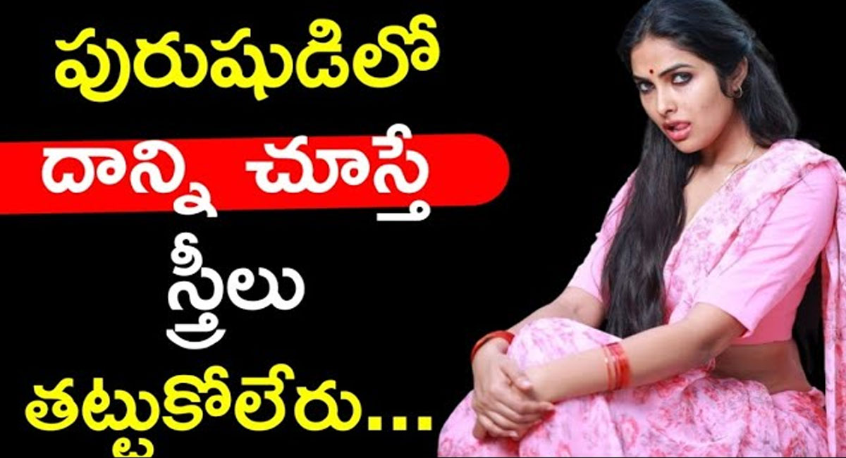 Womens : పురుషుడిలో దాన్ని చూస్తే స్త్రీలు అస్సలు తట్టుకోలేరు.. అదేంటో తెలుసా?