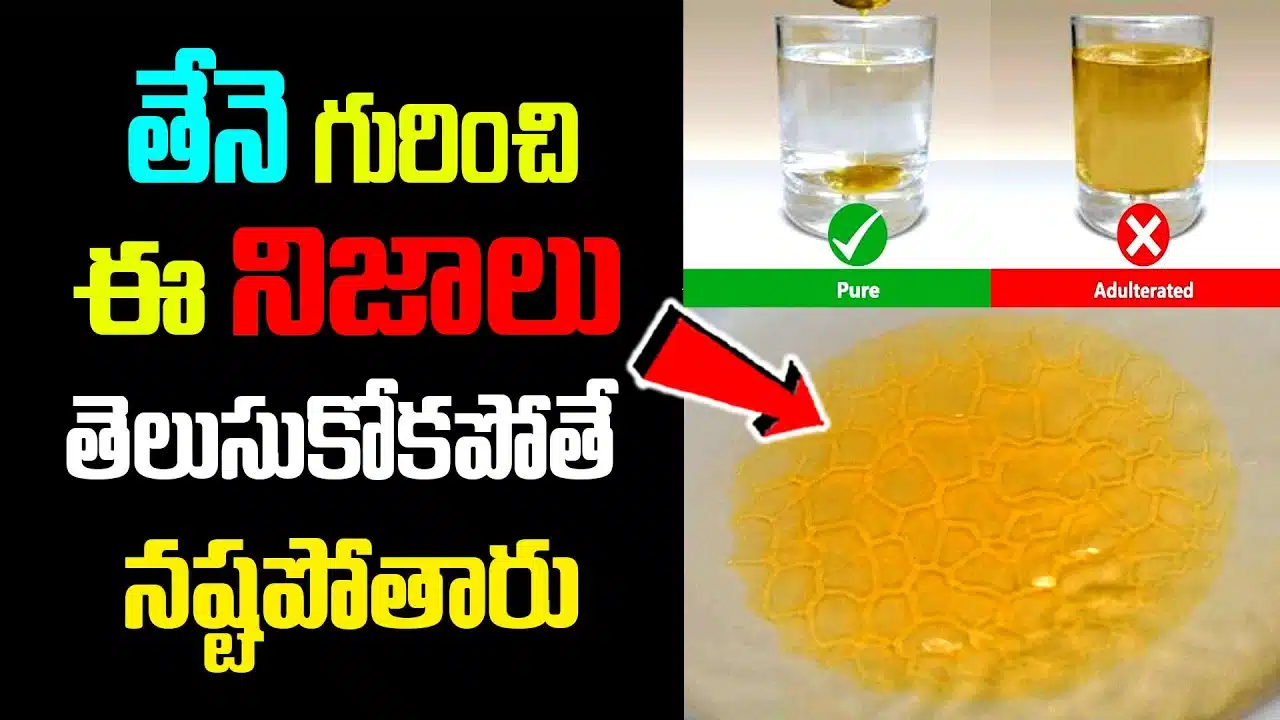 You are missing out if you don't know these facts about Honey