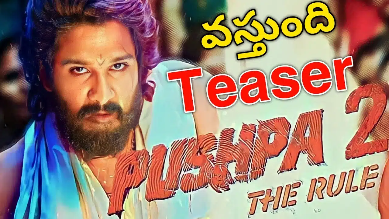 Pushpa movie making 2 crores budget only teaser
