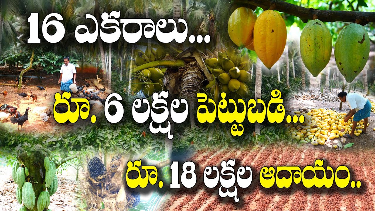 Businesss Idea : వ్యవసాయం ఇలా చేస్తే.. లక్షల ఆదాయం వస్తుంది.. ఈయన చూడండి నెలకు ఎంత సంపాదిస్తున్నాడో?