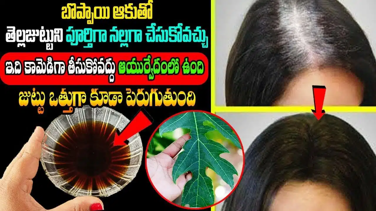 White hair can be made completely black with papaya leaf