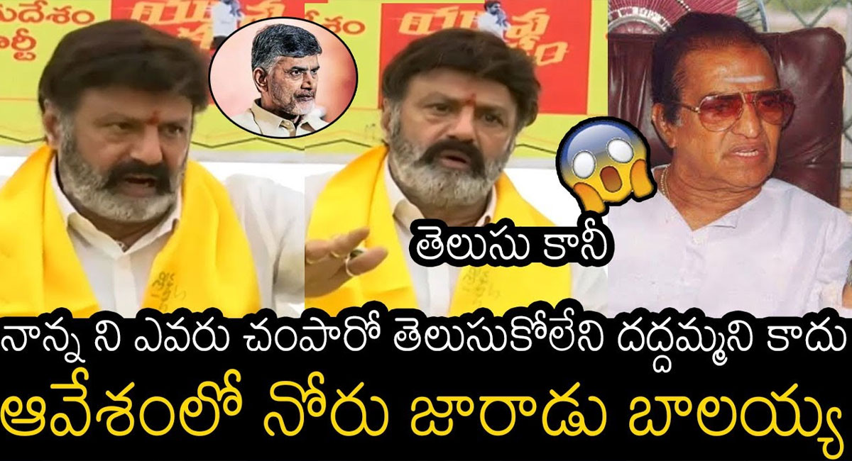 Balakrishna : నాన్నని ఎవరు చంపారో తెలుసుకోలేని దద్దమ్మని కాదు.. ఆవేశంలో నోరు జారిన బాలయ్య.. వీడియో