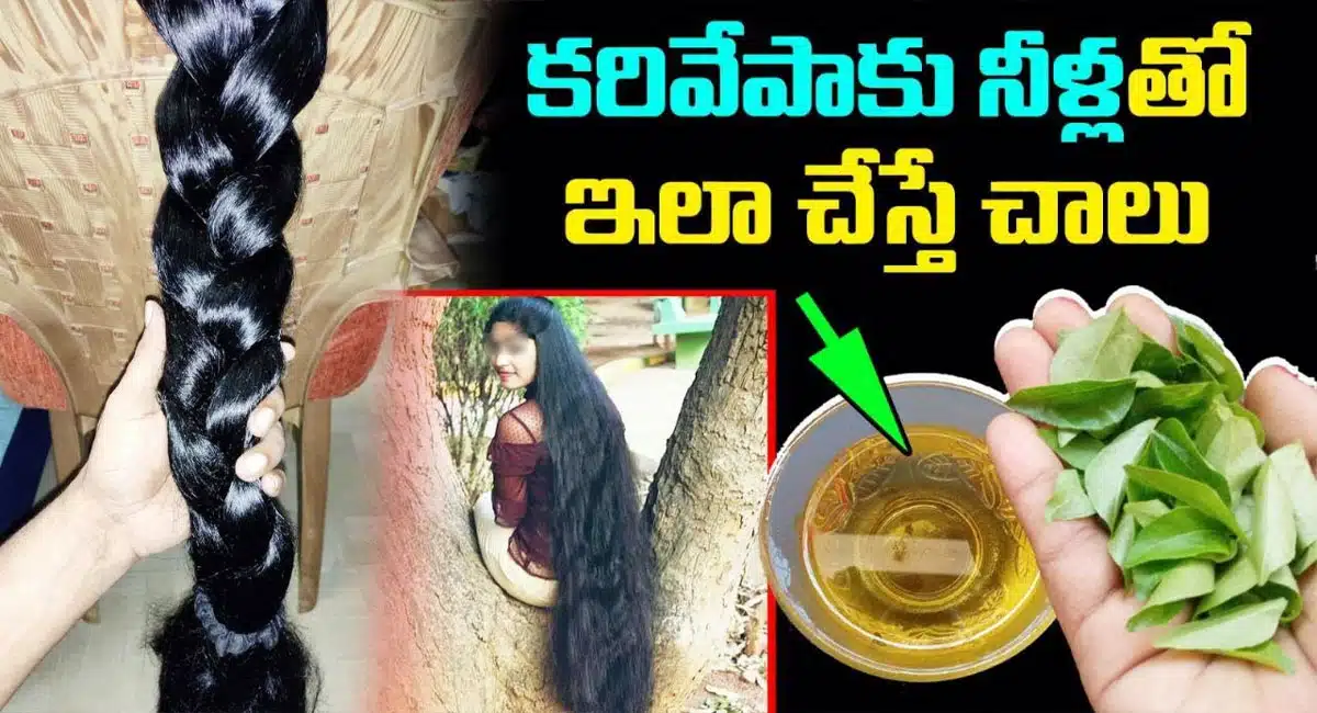 Curry Leaf for Hair Tips