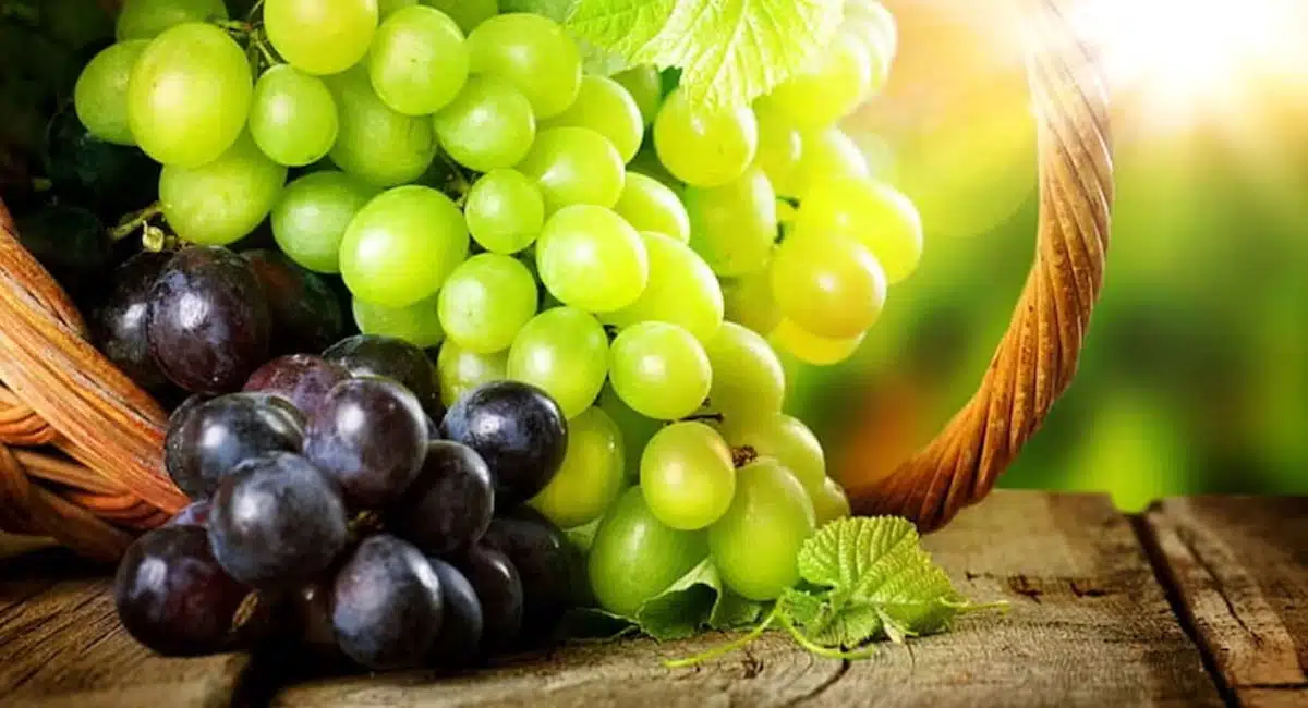 health benefits of are green grapes better than black grapes