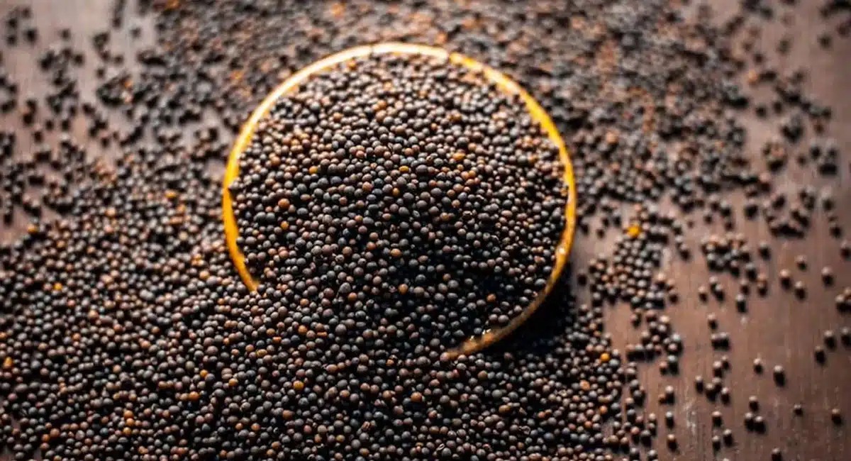 Health Tips Is mustard too dangerous