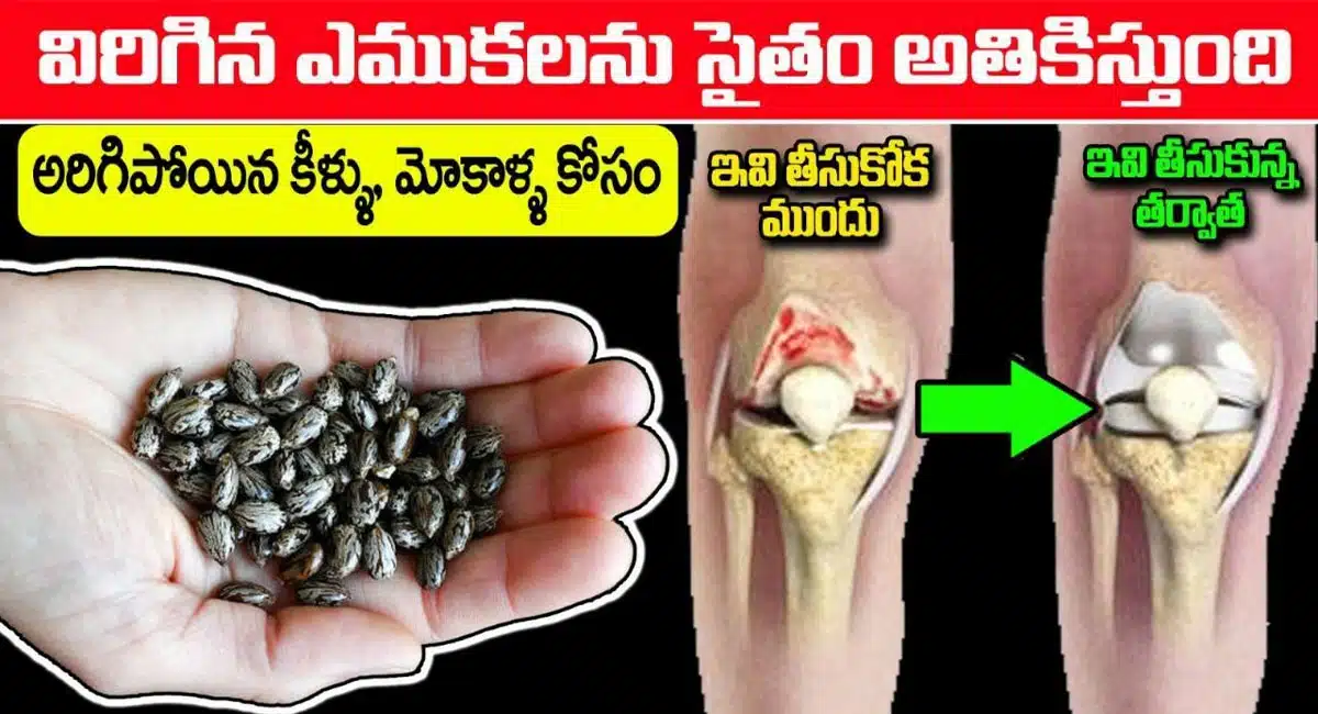 Taking this alone will cure 99% of your knee pain joint pains