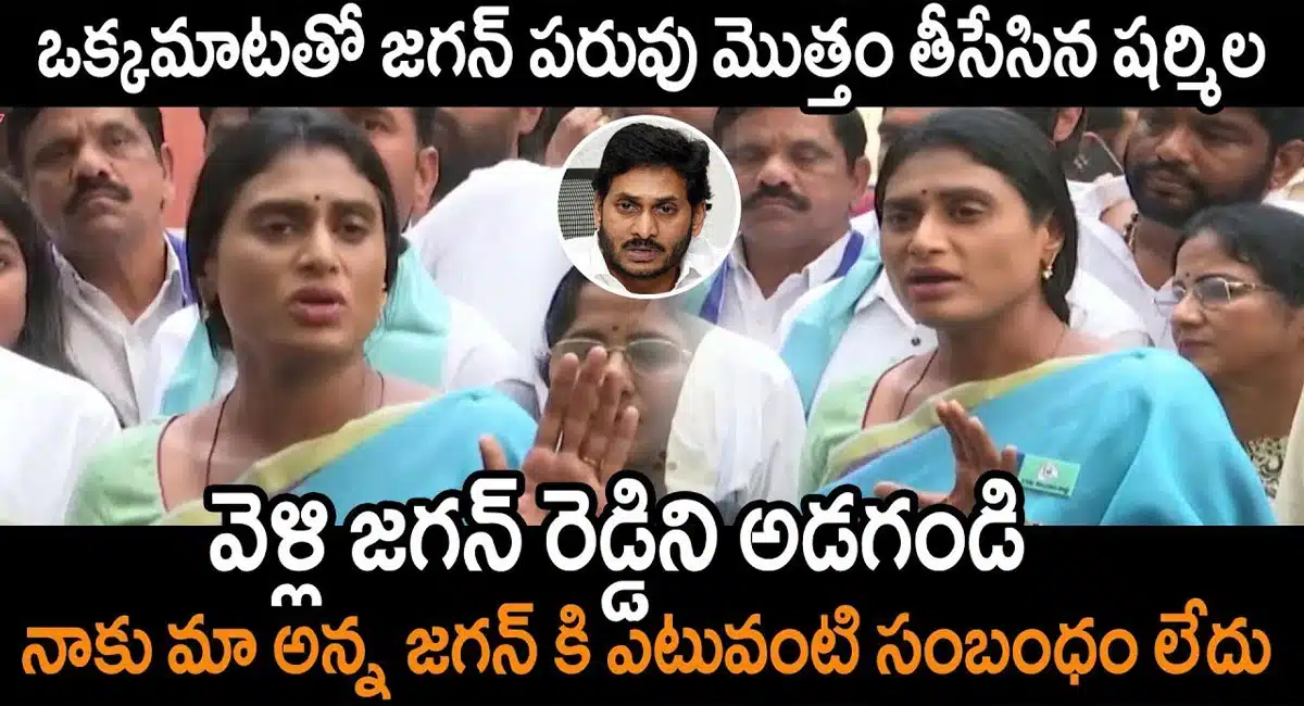 Ys Sharmila Comments On Ys Jagan
