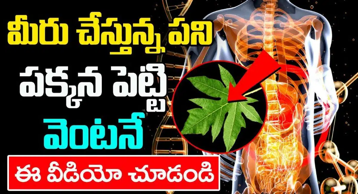 Health Benefits of papaya leaf juice in telugu