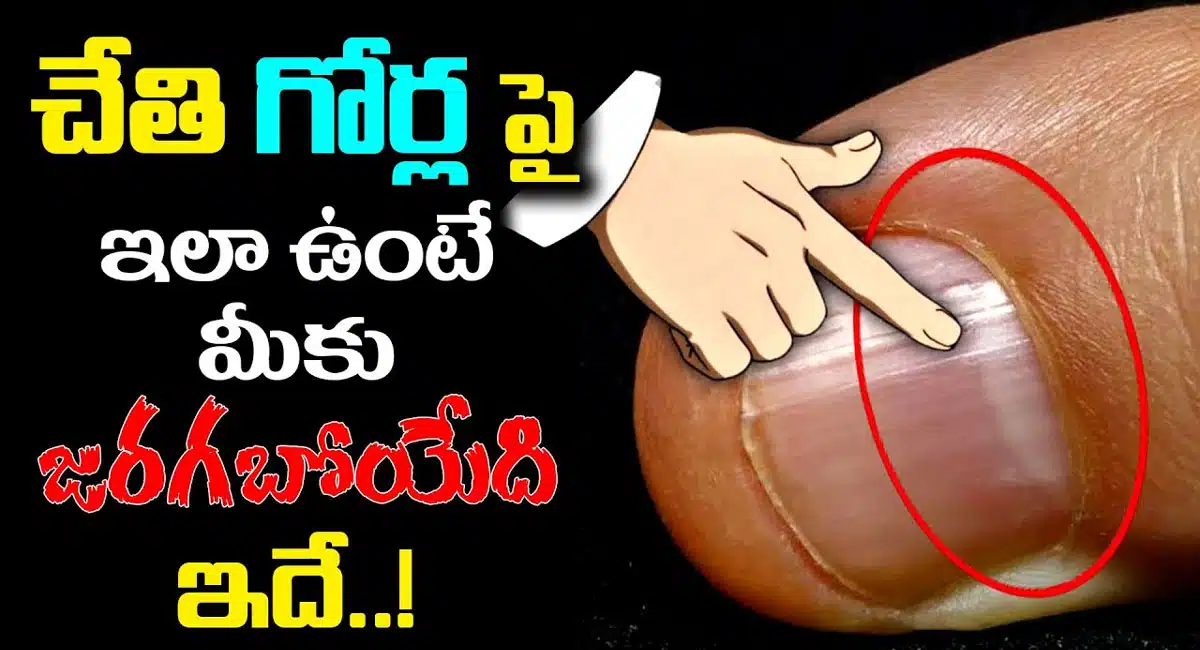 What is the meaning of half moon in your Hand Nails