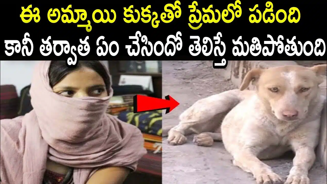 young girl fell in love with dog